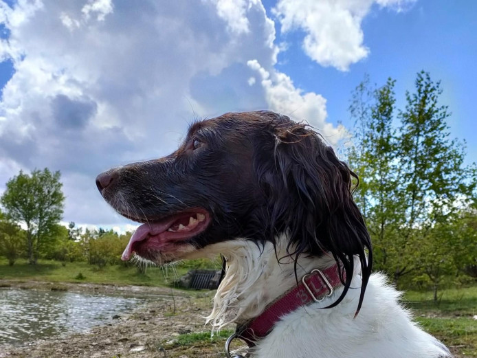 Ready to leave from Friday 20th August 