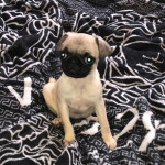 White gene pug puppies for sale
