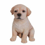 Wanted Yellow Labrador Mele Puppy