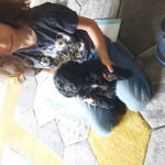 Cockapoo male puppy needs rehoming 