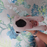 kc registered English Bull Terrier puppies 